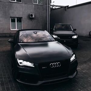 欧美性天天影院
